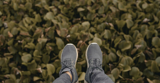 Oignons pieds : Découvrez les 12 conseils d'experts pour réussir : Guide complet avec conseils d'experts et tendances
