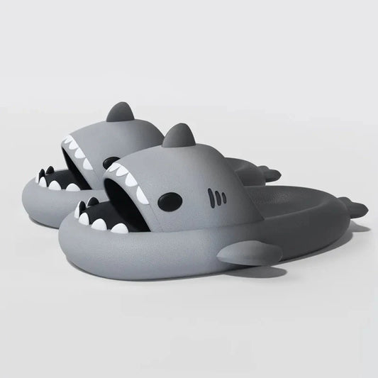 claquettes requin