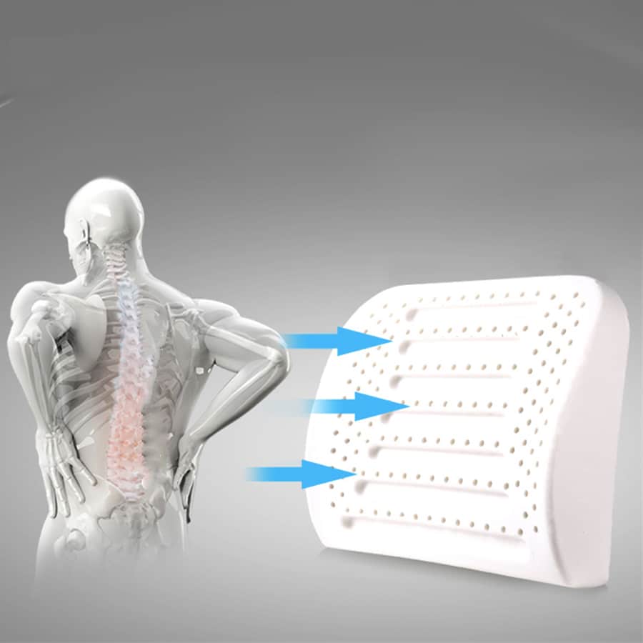 Coussin Orthopédique Dos en Latex – Vue du coussin blanc avec perforations, soutenant la courbure du dos d'un mannequin anatomique.