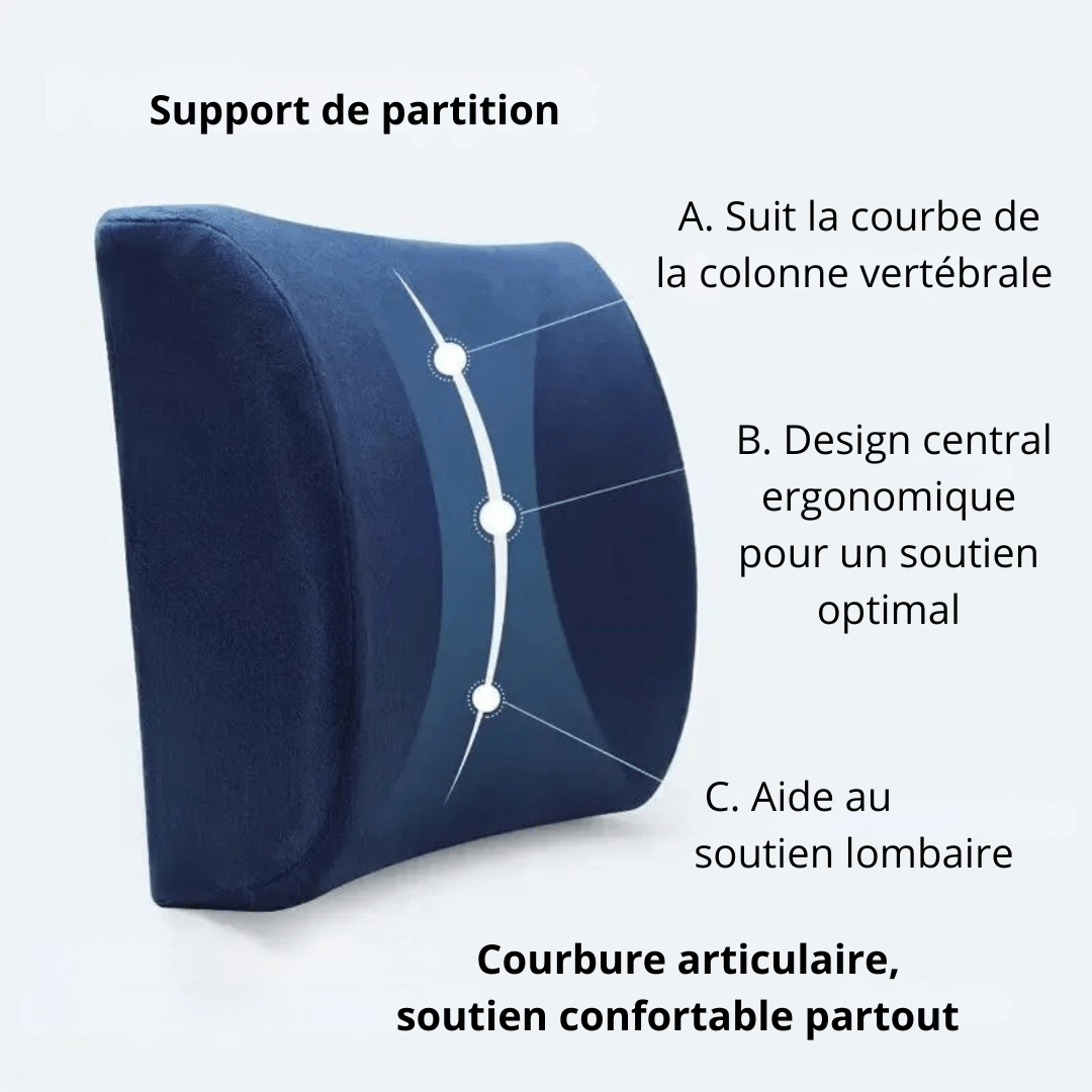 Coussin Orthopédique Dos En Mousse À Mémoire De Forme - Gris